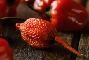 7 POT PRIMO