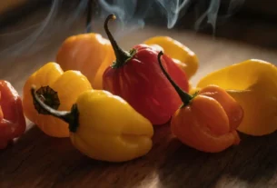 Guia Completo da Scotch Bonnet