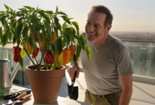 Como Cultivar Ghost Pepper em Casa