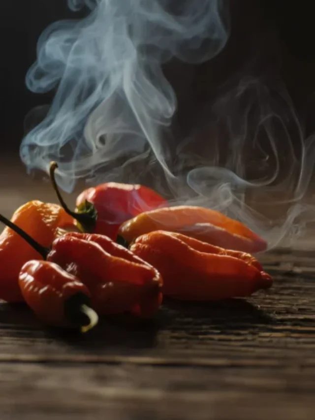 Guia Completo da Bhut Jolokia Origem, Picância, Cultivo, Benefícios e Usos na Cozinha 2026