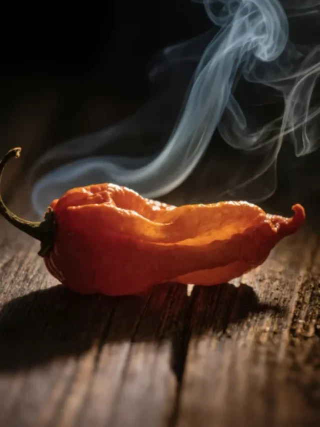 Guia Completo da Ghost Pepper: origem, picância extrema, benefícios, cultivo e usos na cozinha. Tudo sobre essa pimenta em 2026.