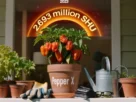 Como Cultivar Pepper X em Casa Guia Prático para Iniciantes em 2026.