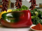 ALMA PAPRIKA
